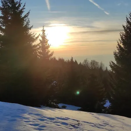 Apartment Zvuk Treske *