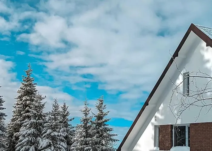 Zvuk Treske Apartamento Kopaonik